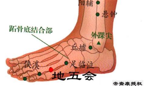 地根穴|醫砭 » 經穴庫 » 地五會